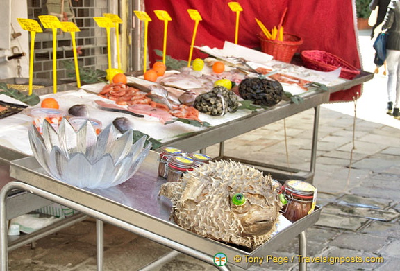 A green-eyed pufferfish (1281 bisita) A green-eyed pufferfish
