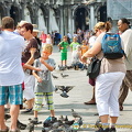 Pigeons in San Marco - a tourist attraction