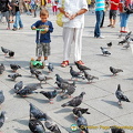 The pigeons are back in St Mark's Square