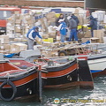  DSC0955