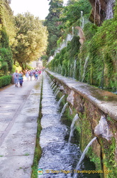 villa-d-este-fountains AJP9275