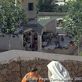Village tour in the High Atlas wwith guide Mohammed