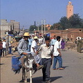 Ourika Valley and Berber Market