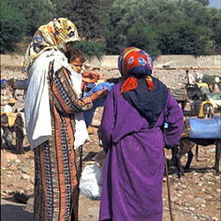 Ourika Valley and a Berber Market