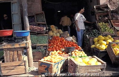 Ourika Valley and Berber Market