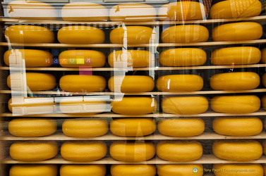 Wheels of Edam cheese