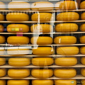 Wheels of Edam cheese