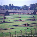 Remains of wooden barracks at Auschwitz II-Birkenau site