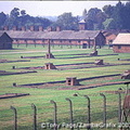 Remains of wooden barracks at Auschwitz II-Birkenau site
