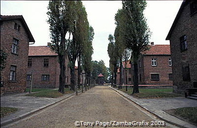 Auschwitz camp blocks and buildings
