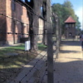 Auschwitz concentration camps