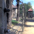 Auschwitz concentration camps