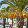Faro - Algarve