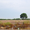 Algarve