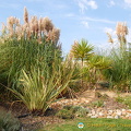 Vilamoura - Algarve
