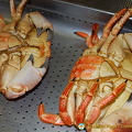 Vilamoura - Algarve (1420 visits) Cooked crabs Vilamoura - Algarve