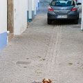 A little lost tourist in Arraiolos