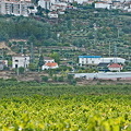 Belmonte, Portugal