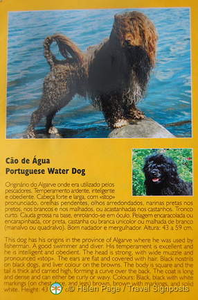 Belmonte, Portugal (911 ביקורים) Belmonte, Portugal