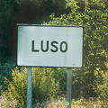 Bucaco National Forest