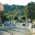 Bucaco National Forest