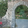 Bucaco National Forest