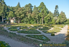 Bucaco National Forest