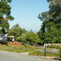 Bucaco National Forest