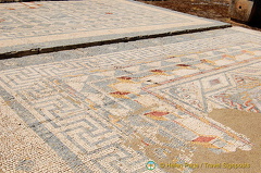 Conimbrigia, Portugal