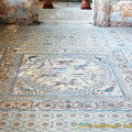 Conimbrigia, Portugal