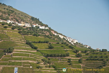 Douro valley, Portugal