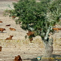 Estremoz, Portugal