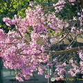 Lisbon (964 bisita) Lisbon