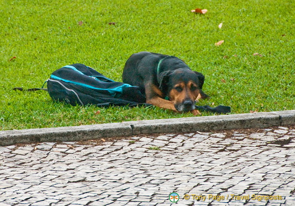 Lisbon (939 visits) Lisbon