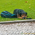 Lisbon (939 bisita) Lisbon