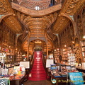 Lello bookshop, Oporto