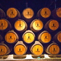 House of Sandeman visit and port tasting, Oporto
