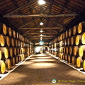 House of Sandeman visit and port tasting, Oporto