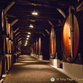 House of Sandeman visit and port tasting, Oporto