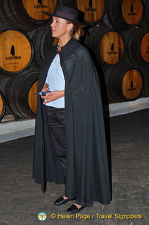 House of Sandeman visit and port tasting, Oporto
