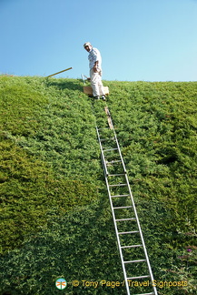 Palacio de Mateus, Douro, Portugal