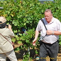 Quinta da Lixa winery, Douro, Portugal