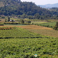Quinta da Lixa winery, Douro, Portugal