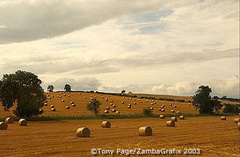 Northumbrian countryside
