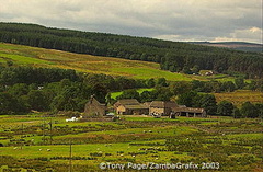 Northumbrian countryside