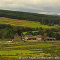 Northumbrian countryside