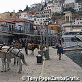 Donkeys waiting for passengers, Hydra/5/