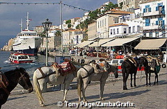 Donkeys waiting for passengers, Hydra