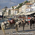 Donkeys waiting for passengers, Hydra