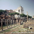 The Forum, Rome